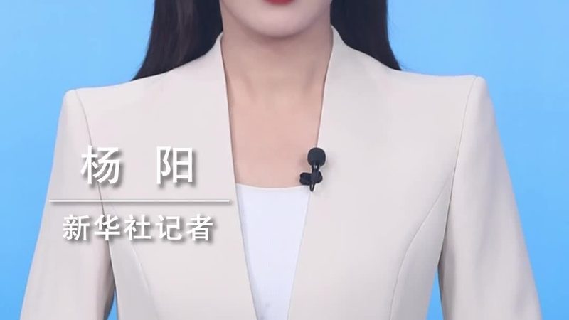 SaaS平台代理加盟：揭秘厂家直招背后的逻辑